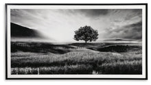 Load image into Gallery viewer, Deborland Wall Art