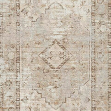 Load image into Gallery viewer, Livdon Washable Rug
